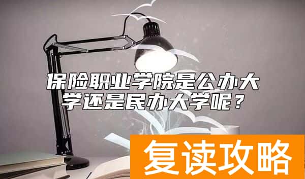 保险职业学院是公办大学还是民办大学呢？